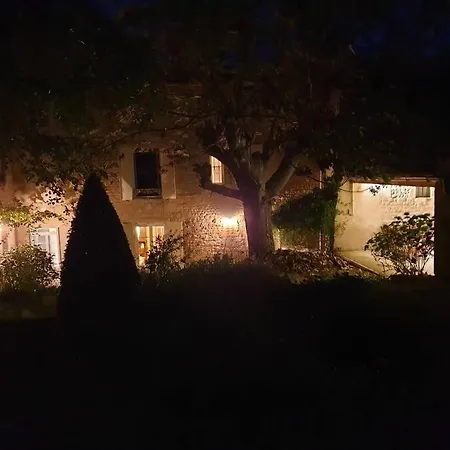 Willa Hidden Treasure