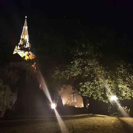 Hidden Treasure Willa *