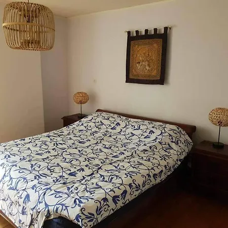 Willa Hidden Treasure *